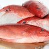 Peixe vermelho