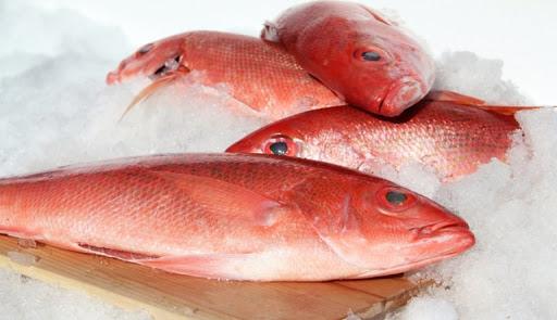 Peixe vermelho