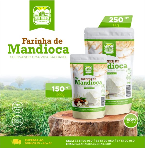 mandioca2