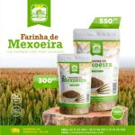 mexoeiracm2