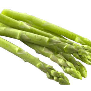 Espargo