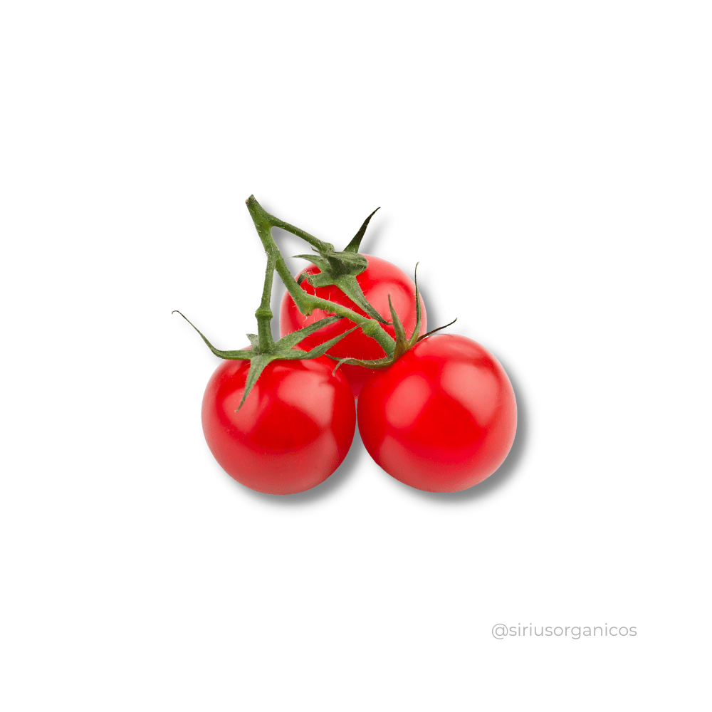 tomate-cereja-organico-entregas-delivery-cestas-curitiba-sirius-organicos-1000x1000