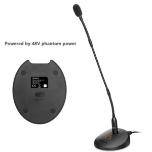 MICROFONE1 MICROFONE1