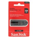 Sandisk3